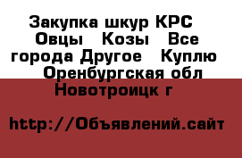 Закупка шкур КРС , Овцы , Козы - Все города Другое » Куплю   . Оренбургская обл.,Новотроицк г.